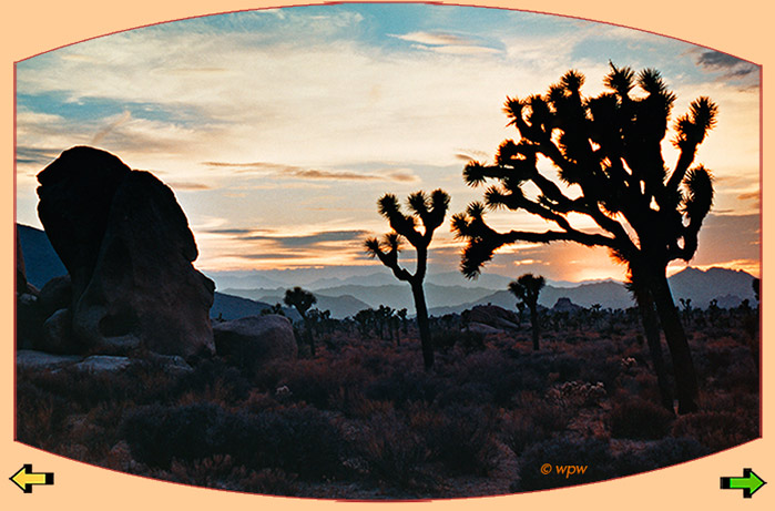 <Silhouettes of large boulder and several Joshua trees against sunset.>