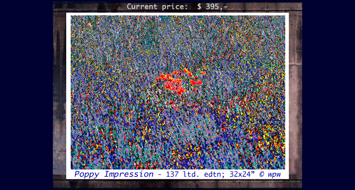 <Poppy Impressions, impressionist rendering of a Wolf Peter Weber photograph of poppy flowers in a field>